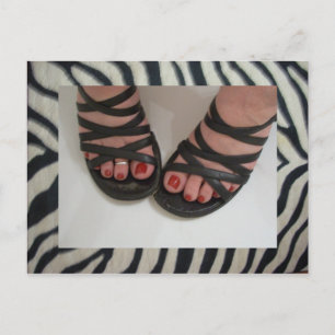 Pretty Toes Zebra Postcards