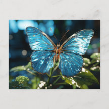 Pretty Transparent Blue Butterfly