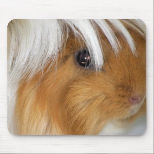 Pretty, Tricolor, Smooth, Guinea Pig Face Mouse Pad