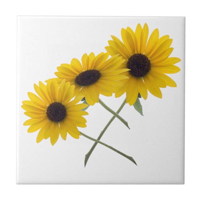 Pretty Triple Sunflower Photograph Ceramic Tile (Front)