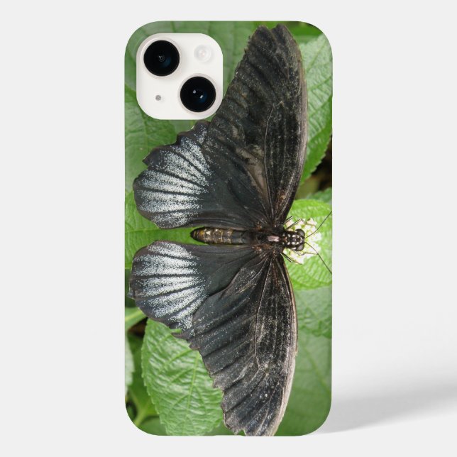 Pretty Tropical Butterfly and Flowers Case-Mate iPhone Case (Back)