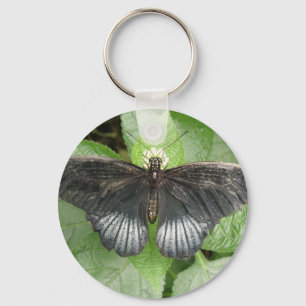Pretty Tropical Butterfly and Flowers Keychain