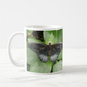 Pretty Tropical Butterfly and Flowers Mug