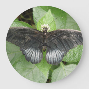 Pretty Tropical Butterfly and Flowers Wall Clock