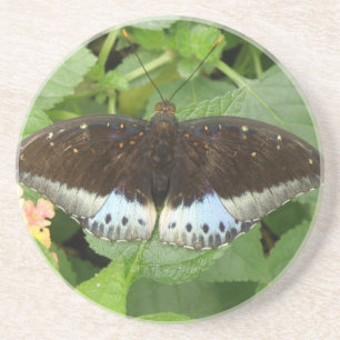Pretty Tropical Butterfly Coasters