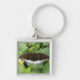 Pretty Tropical Butterfly Keychain