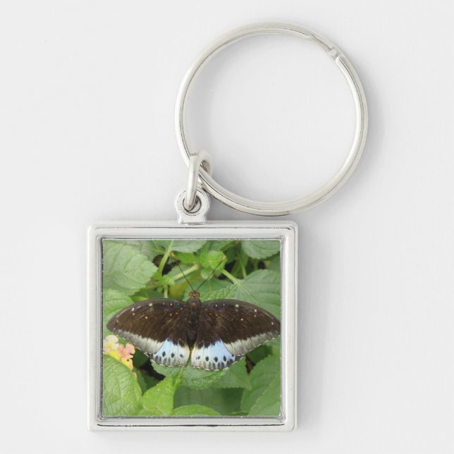 Pretty Tropical Butterfly Keychain (Front)