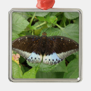 Pretty Tropical Butterfly Ornament