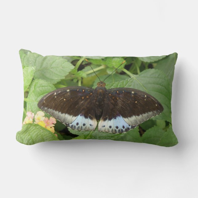 Pretty Tropical Butterfly Pillow (Front)