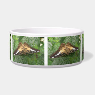 Pretty Tropical Clipper Butterfly Dog Bowl