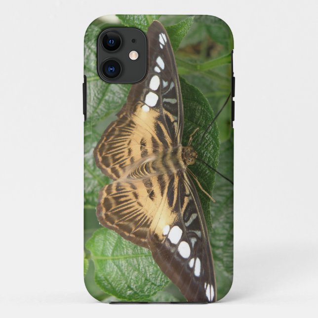 Pretty Tropical Clipper Butterfly iPhone Case (Back)