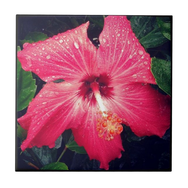 Pretty Tropical Flower Ceramic Tile (Front)