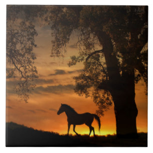 Pretty Trotting Horse in the Sunrise Tile
