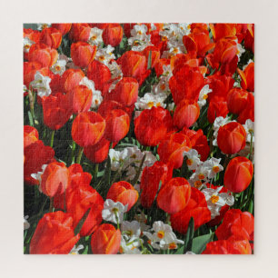 Pretty tulips and daffodils jigsaw puzzle