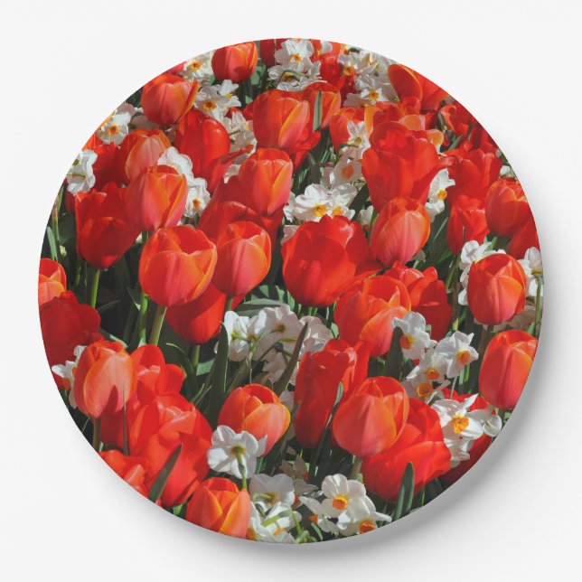 Pretty tulips and daffodils paper plate (Front)
