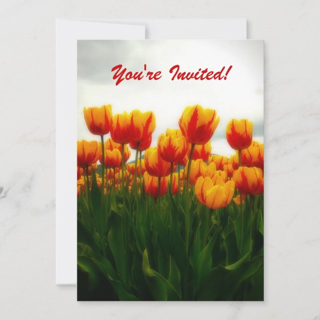 Pretty Tulips Party Invitation (Front)