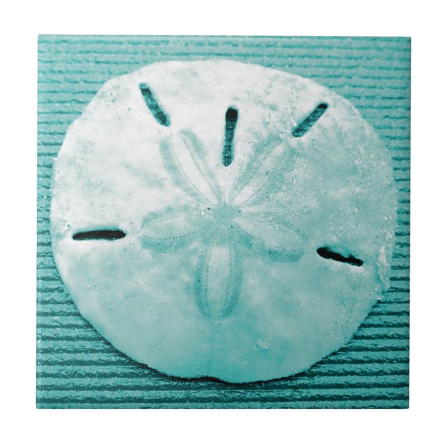 Pretty Turquoise Sand Dollar Ceramic Tile (Front)