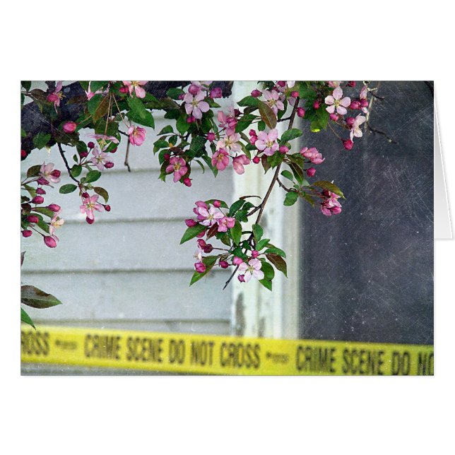 Pretty Ugly (Front Horizontal)