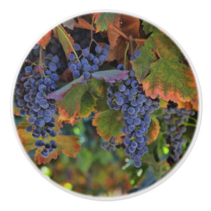 Pretty Vineyard Wine Country Knobs and Pulls