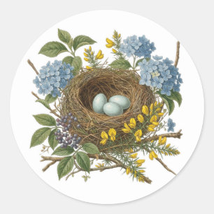 Pretty Vintage Bird Nest Sticker