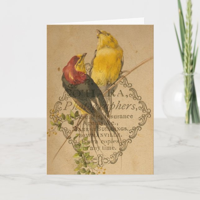 Pretty Vintage Birds Card (Front)