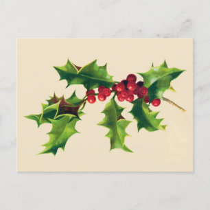 Pretty Vintage Holly branch Holiday Postcard
