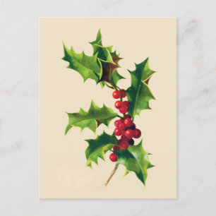 Pretty Vintage Holly branch  Postcard
