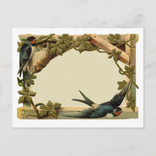 Pretty Vintage Rustic Blank Ivy & Swallow Border Postcard