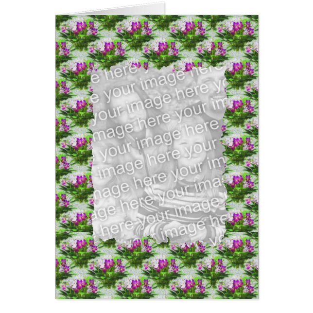 Pretty Violet Flowers Frame Your Photo Card (Front)