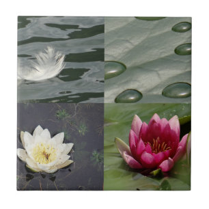 Pretty Water Lilies Ceramic Tile