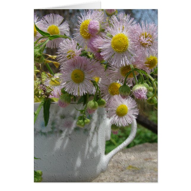 Pretty Weeds (Front)