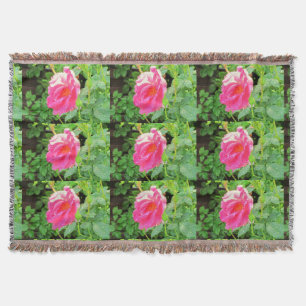 Pretty Wet Pink Rose Throw Blanket