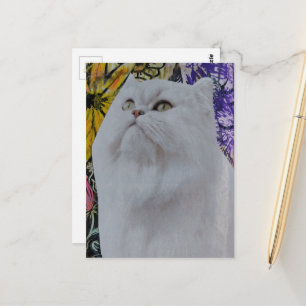 Pretty White Cat in Flowers collage Postcard