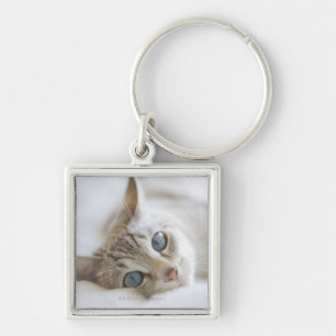 Pretty white cat with blue eyes laying on couch key ring