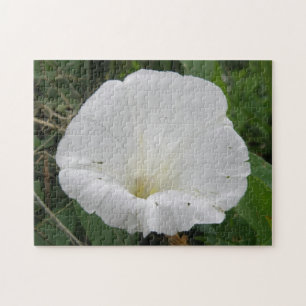 Pretty White Convolvulus Flower Puzzle