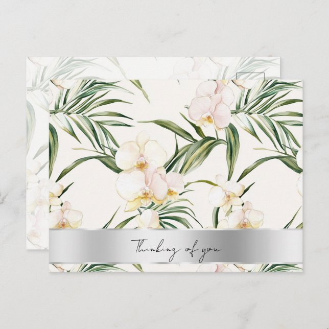 Pretty White Cream Orchids Thinking of you Postcard (Front/Back)