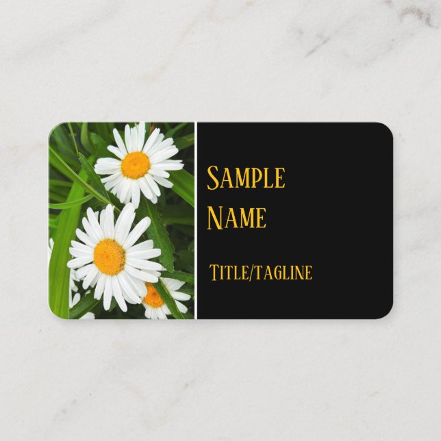 pretty white daisies flowers nature photography  business card (Front)