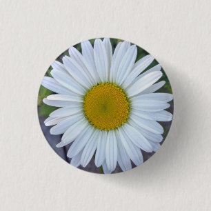 Pretty White Daisy Photo 3 Cm Round Badge