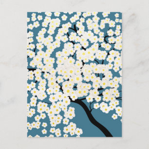 Pretty White Flowers Blossom Tree Art Postcard