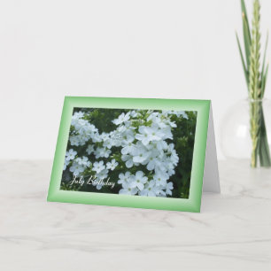 Pretty White Flowers Card