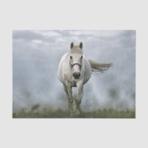 Pretty White Horse Cloud Photo Tissue Paper