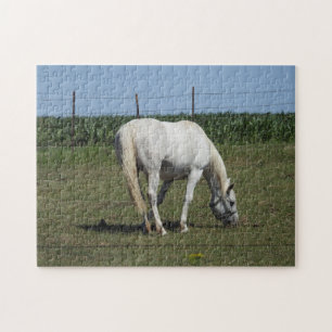 Pretty White Horse Jigsaw Puzzle