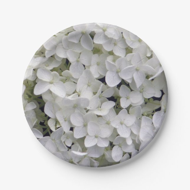 Pretty White Hydrangea Closeup Photo Paper Plate (Front)