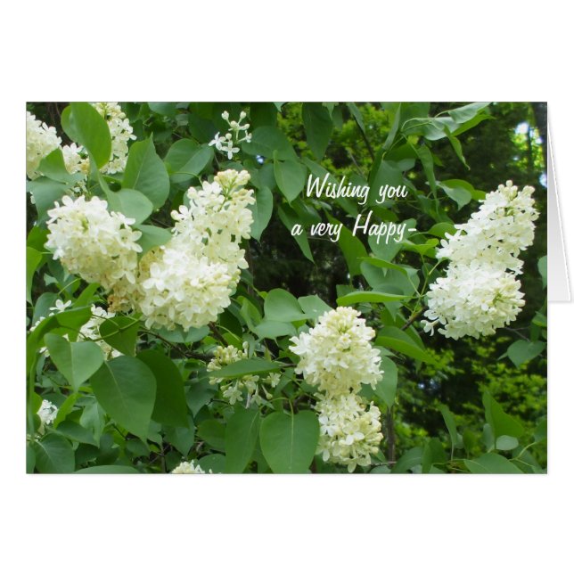 Pretty  White Lilac Bush (Front Horizontal)