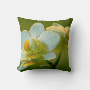 pretty white orchid flower in green. Floral garden Cushion