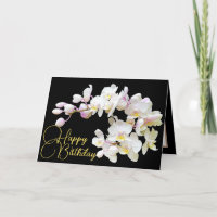 Pretty White Orchids Black Backdrop Happy Birthday