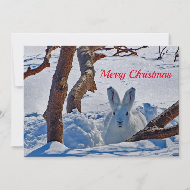 Pretty White Rabbit Snow Photo Christmas Flat Holiday Card (Front)