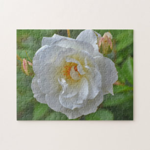 Pretty White Rose Flower Art Puzzle