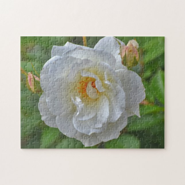 Pretty White Rose Flower Art Puzzle (Horizontal)