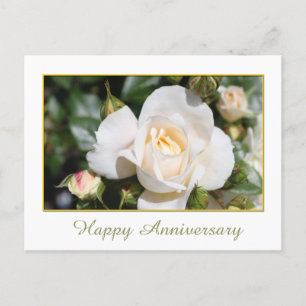 pretty white rose flower happy anniversary postcard